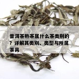 普洱茶熟茶属什么茶类别的？详解其类别、类型与所属茶具