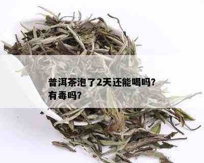 普洱茶泡了2天还能喝吗？有吗？