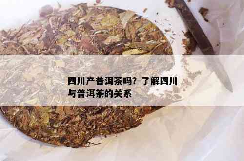 四川产普洱茶吗？了解四川与普洱茶的关系