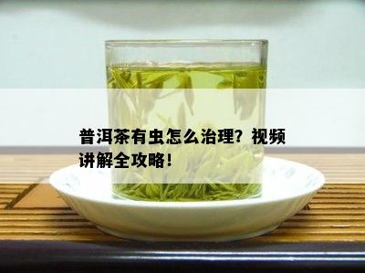 普洱茶有虫怎么治理？视频讲解全攻略！