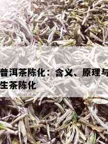 普洱茶陈化：含义、原理与生茶陈化