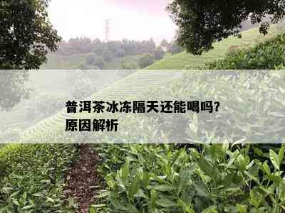 普洱茶冰冻隔天还能喝吗？原因解析