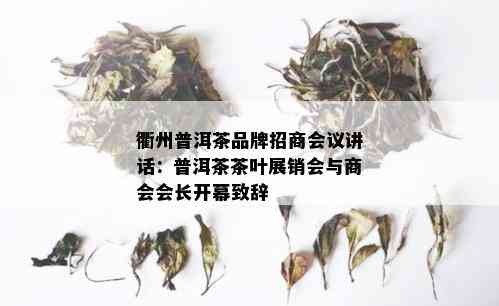 衢州普洱茶品牌招商会议讲话：普洱茶茶叶展销会与商会会长开幕致辞