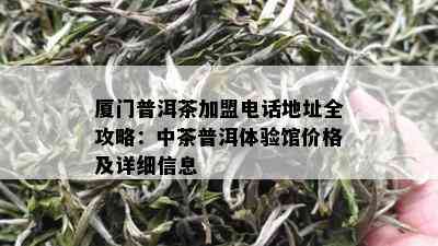 厦门普洱茶加盟电话地址全攻略：中茶普洱体验馆价格及详细信息