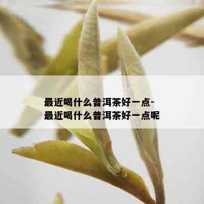 最近喝什么普洱茶好一点-最近喝什么普洱茶好一点呢