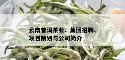 云南普洱茶业：集团招聘、项目策划与公司简介