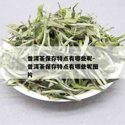 普洱茶保存特点有哪些呢-普洱茶保存特点有哪些呢图片