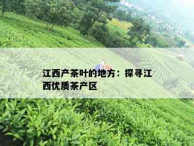 江西产茶叶的地方：探寻江西优质茶产区