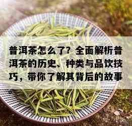 普洱茶怎么了？全面解析普洱茶的历史、种类与品饮技巧，带你了解其背后的故事。