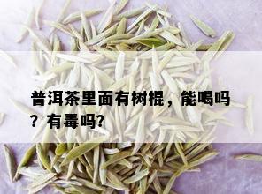 普洱茶里面有树棍，能喝吗？有吗？