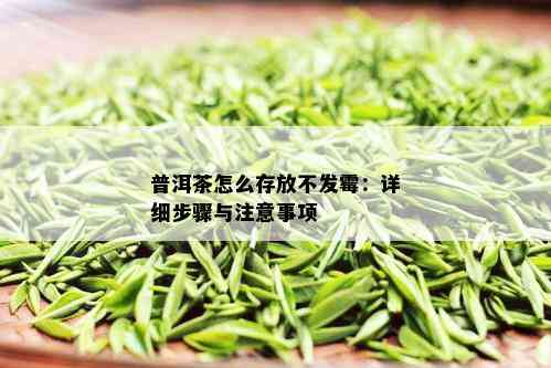 普洱茶怎么存放不发霉：详细步骤与注意事项