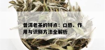 普洱老茶的特点：口感、作用与识别方法全解析