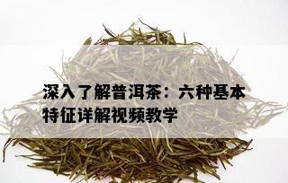 深入了解普洱茶：六种基本特征详解视频教学