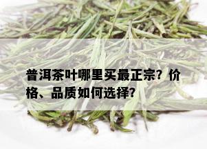 普洱茶叶哪里买最正宗？价格、品质如何选择？