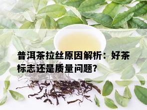 普洱茶拉丝原因解析：好茶标志还是质量问题？