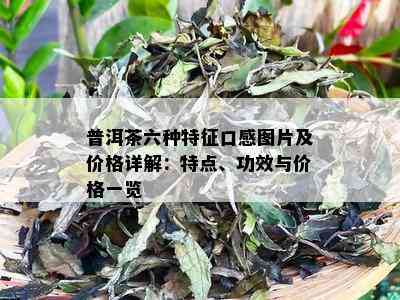 普洱茶六种特征口感图片及价格详解：特点、功效与价格一览