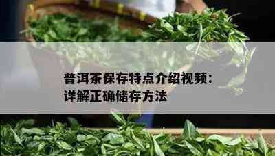 普洱茶保存特点介绍视频：详解正确储存方法