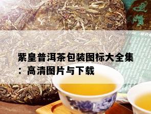 紫皇普洱茶包装图标大全集：高清图片与下载