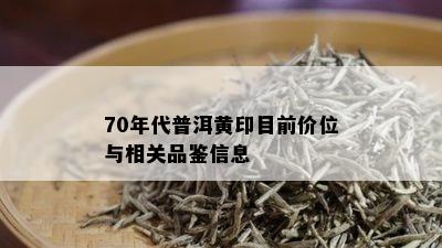 70年代普洱黄印目前价位与相关品鉴信息