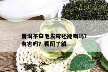 普洱茶白毛发霉还能喝吗？有害吗？看图了解