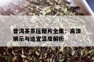 普洱茶蒸压图片全集：高清展示与适宜温度解析