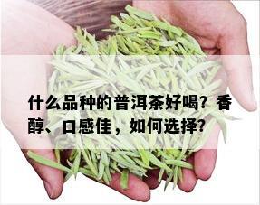 什么品种的普洱茶好喝？香醇、口感佳，如何选择？