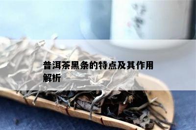 普洱茶黑条的特点及其作用解析