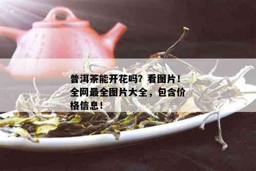 普洱茶能开花吗？看图片！全网最全图片大全，包含价格信息！