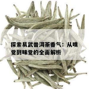 探索易武普洱茶香气：从嗅觉到味觉的全面解析