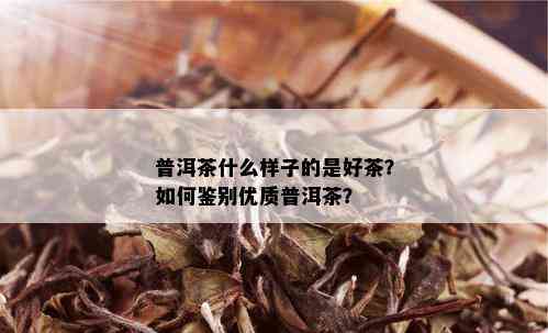 普洱茶什么样子的是好茶？如何鉴别优质普洱茶？