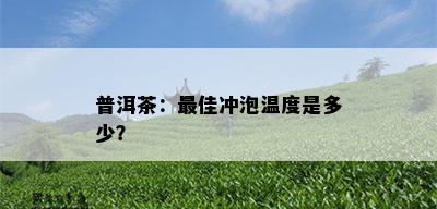 普洱茶：更佳冲泡温度是多少？