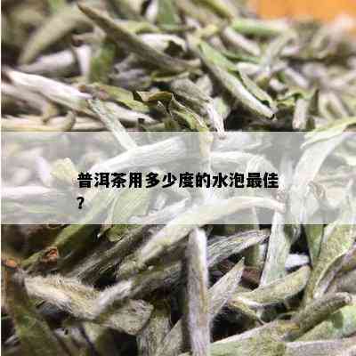 普洱茶用多少度的水泡更佳？