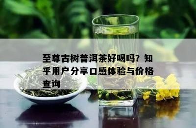 至尊古树普洱茶好喝吗？知乎用户分享口感体验与价格查询