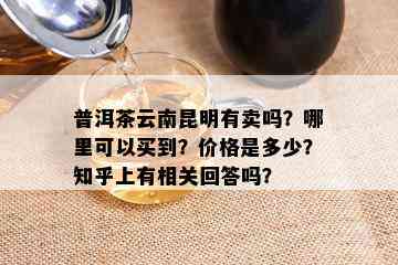 普洱茶云南昆明有卖吗？哪里可以买到？价格是多少？知乎上有相关回答吗？