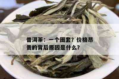 普洱茶：一个圈套？价格昂贵的背后原因是什么？