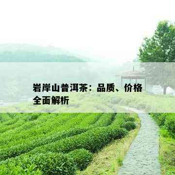 岩岸山普洱茶：品质、价格全面解析