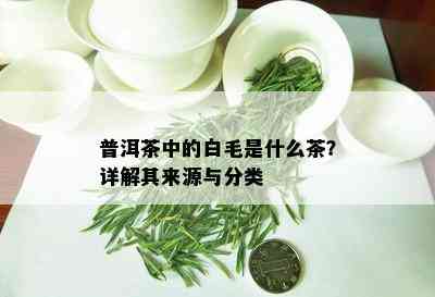 普洱茶中的白毛是什么茶？详解其来源与分类