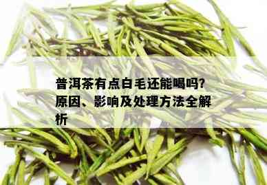 普洱茶有点白毛还能喝吗？原因、影响及处理方法全解析