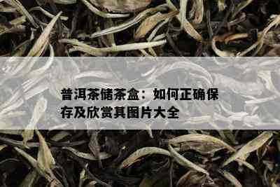 普洱茶储茶盒：如何正确保存及欣赏其图片大全