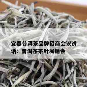 宜春普洱茶品牌招商会议讲话：普洱茶茶叶展销会