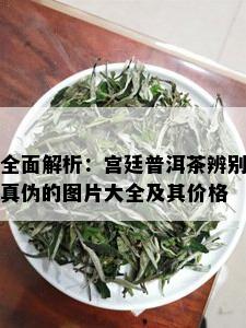 全面解析：宫廷普洱茶辨别真伪的图片大全及其价格