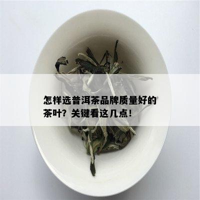 怎样选普洱茶品牌质量好的茶叶？关键看这几点！