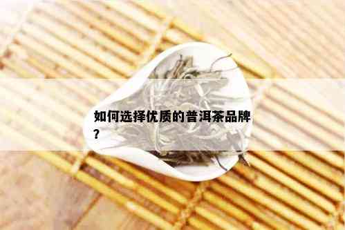 如何选择优质的普洱茶品牌？