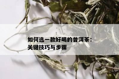 如何选一款好喝的普洱茶：关键技巧与步骤