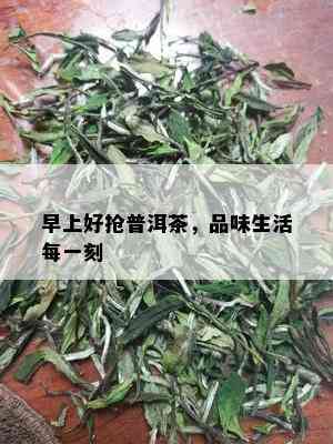 早上好抢普洱茶，品味生活每一刻