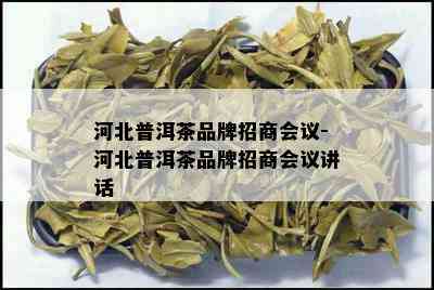 河北普洱茶品牌招商会议-河北普洱茶品牌招商会议讲话