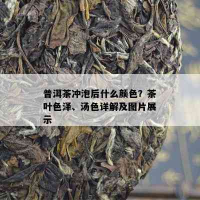 普洱茶冲泡后什么颜色？茶叶色泽、汤色详解及图片展示