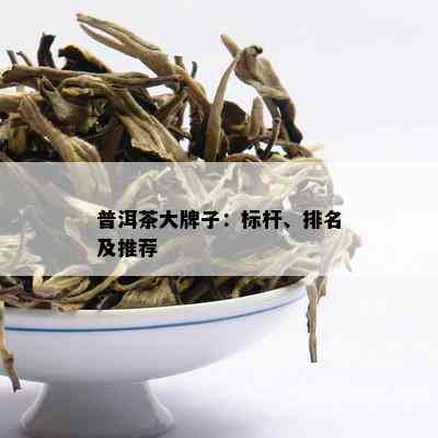 普洱茶大牌子：标杆、排名及推荐