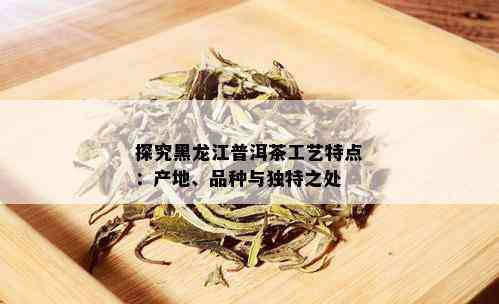 探究黑龙江普洱茶工艺特点：产地、品种与独特之处