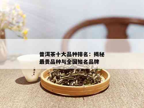 普洱茶十大品种排名：揭秘最贵品种与全国知名品牌